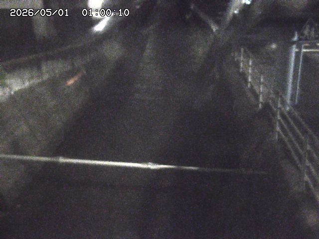 大井手川１2026/05/01 17:00:00
