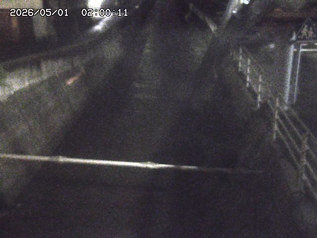 大井手川１2026/05/01 17:00:00