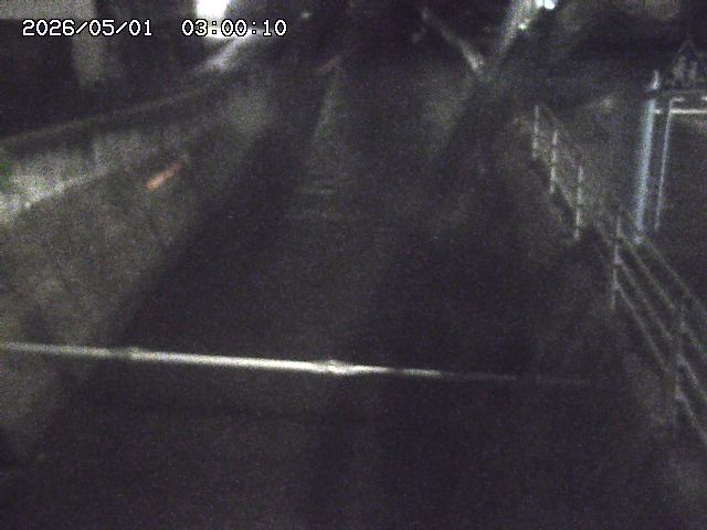 大井手川１2026/05/01 17:00:00