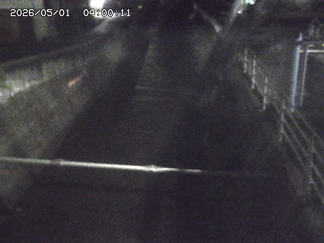 大井手川１2026/05/01 17:00:00