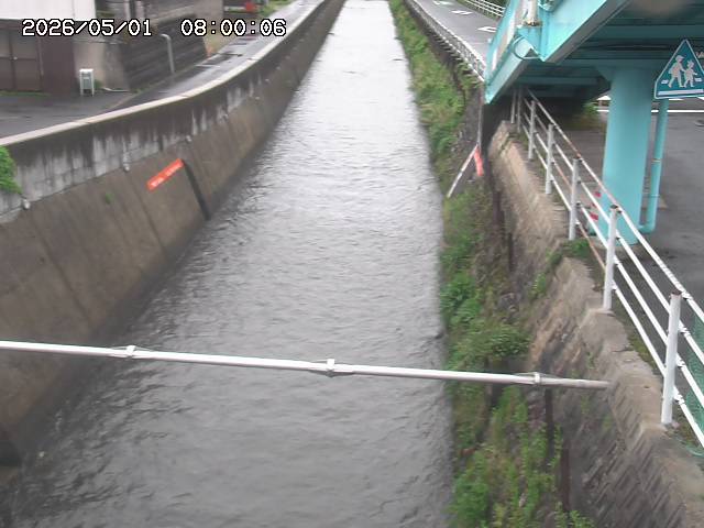 大井手川１2026/05/01 17:00:00