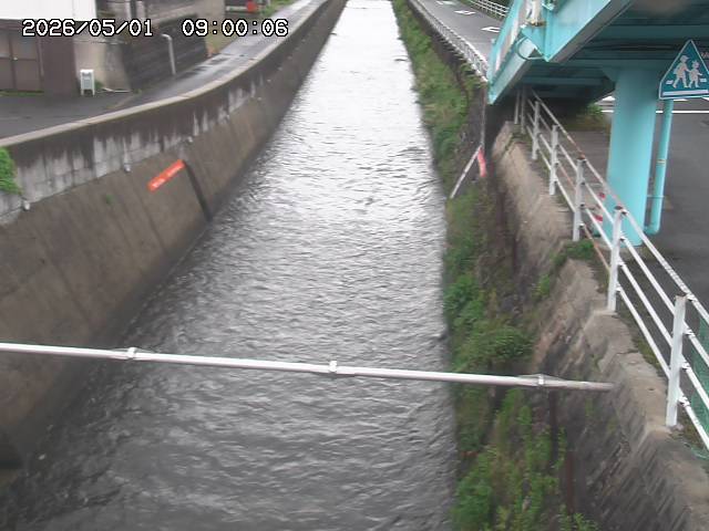 大井手川１2026/05/01 17:00:00