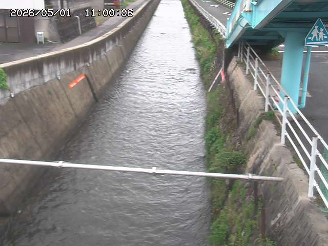 大井手川１2026/05/01 17:00:00