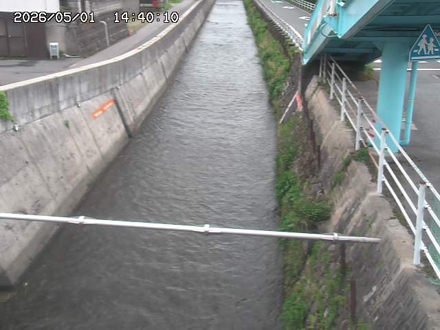大井手川１2026/05/01 17:00:00