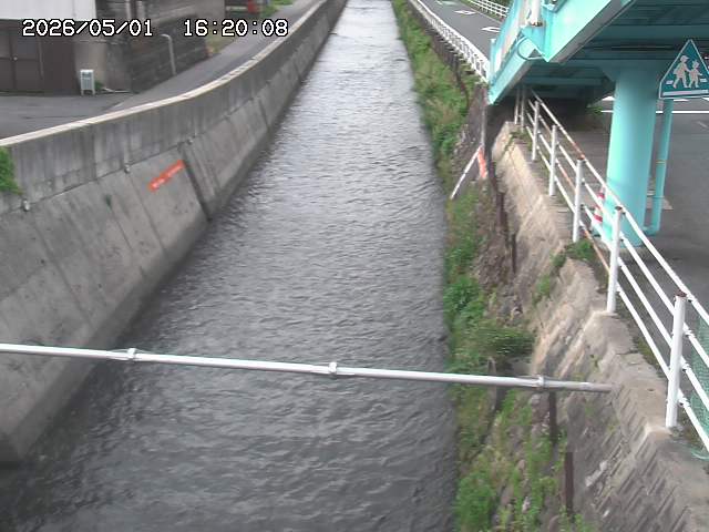 大井手川１2026/05/01 17:00:00