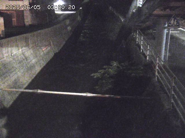 大井手川１2025/06/06 1:00:00