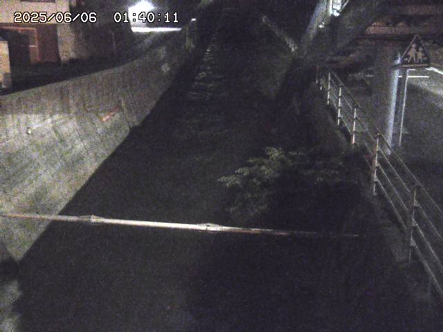大井手川１2025/06/06 1:50:00