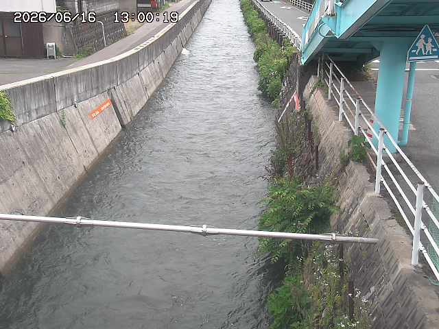 大井手川１2026/06/17 12:00:00