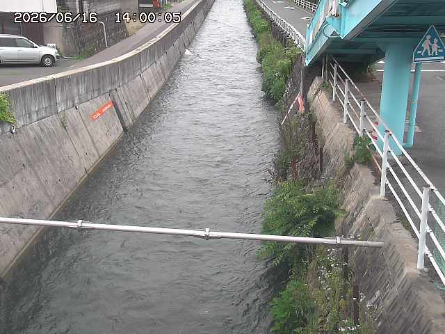 大井手川１2026/06/17 12:00:00