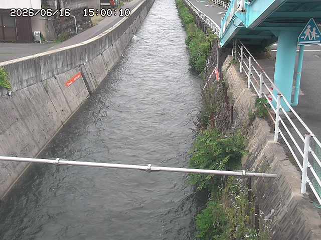 大井手川１2026/06/17 12:00:00
