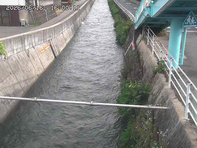 大井手川１2026/06/17 12:00:00