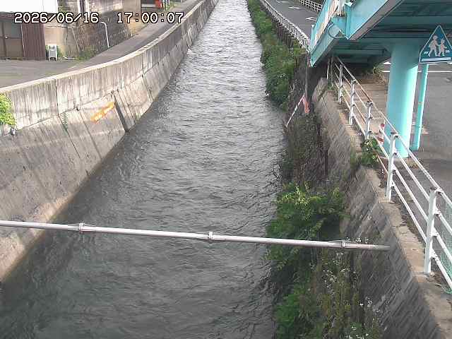 大井手川１2026/06/17 12:00:00