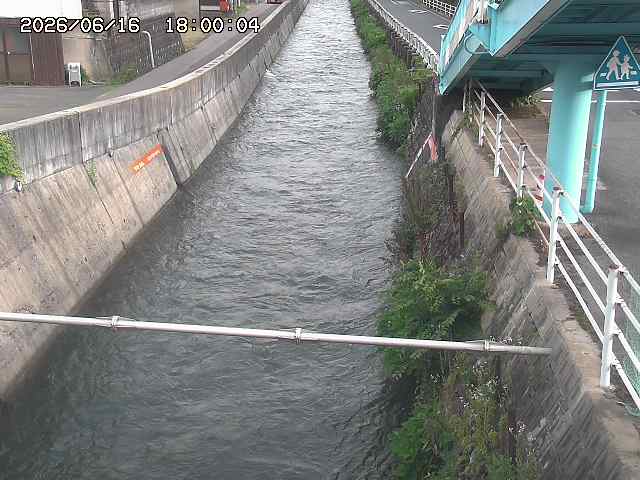 大井手川１2026/06/17 12:00:00