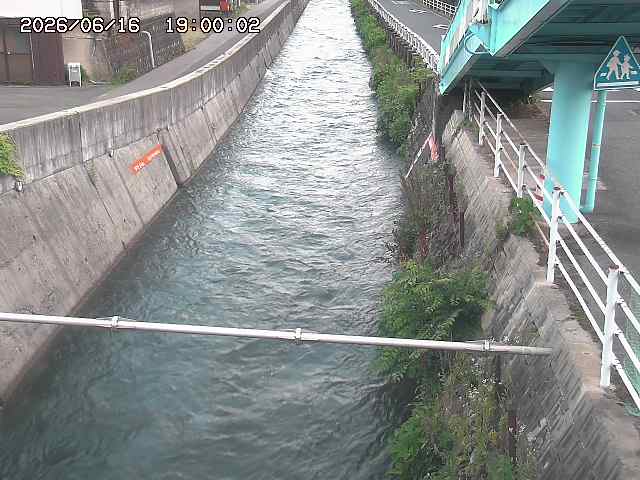 大井手川１2026/06/17 12:00:00