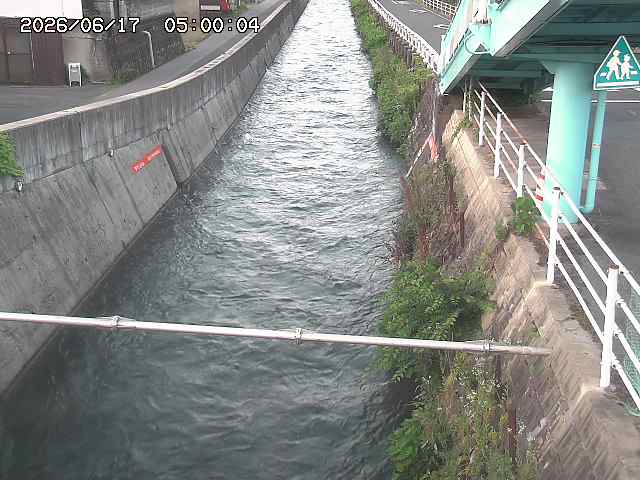 大井手川１2026/06/17 12:00:00