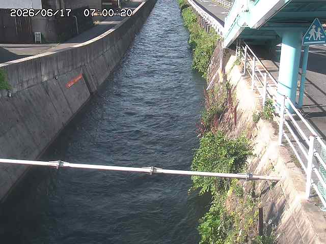 大井手川１2026/06/17 12:00:00