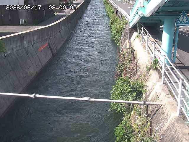 大井手川１2026/06/17 12:00:00