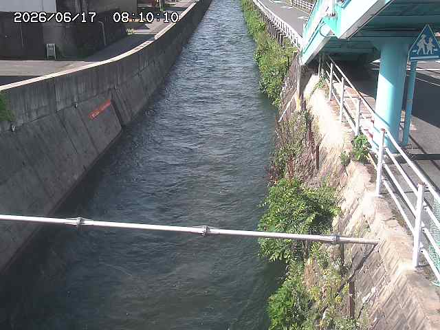 大井手川１2026/06/17 12:00:00