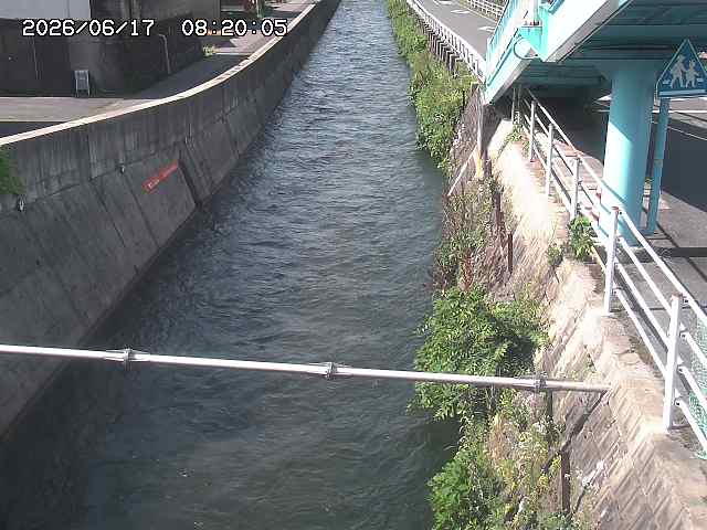 大井手川１2026/06/17 12:00:00