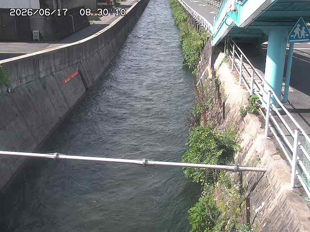 大井手川１2026/06/17 12:00:00