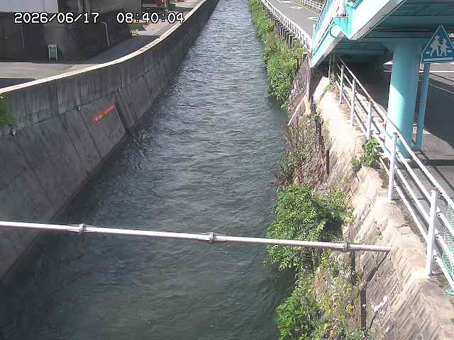 大井手川１2026/06/17 12:00:00