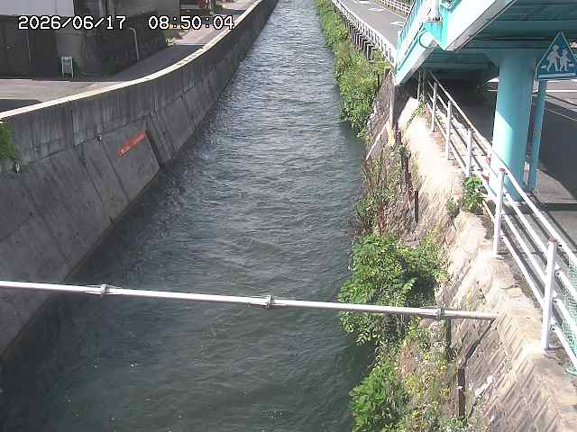 大井手川１2026/06/17 12:00:00