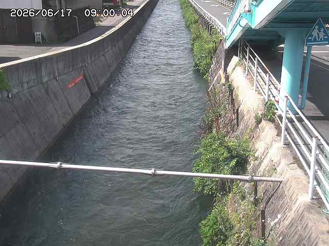 大井手川１2026/06/17 12:00:00
