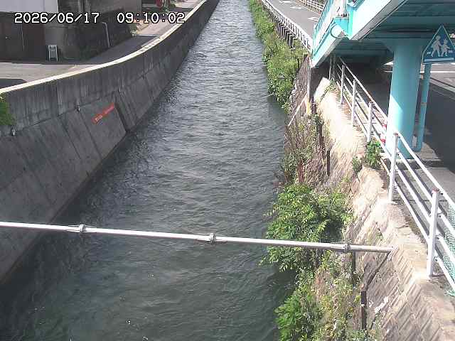 大井手川１2026/06/17 12:00:00