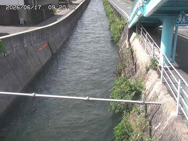 大井手川１2026/06/17 12:00:00