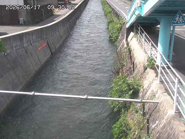 大井手川１2026/06/17 12:00:00