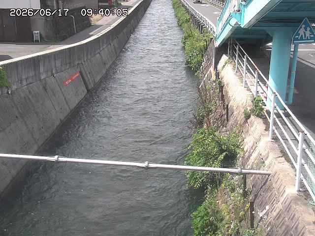 大井手川１2026/06/17 12:00:00