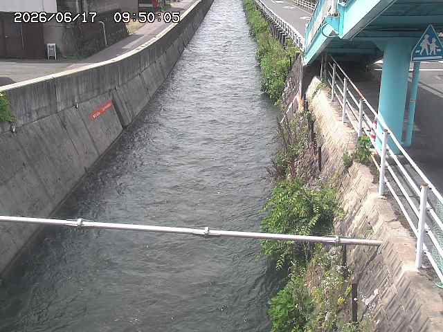 大井手川１2026/06/17 12:00:00