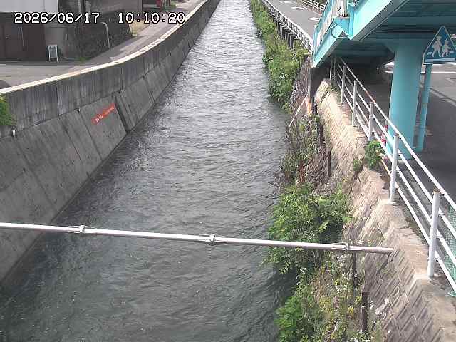 大井手川１2026/06/17 12:00:00
