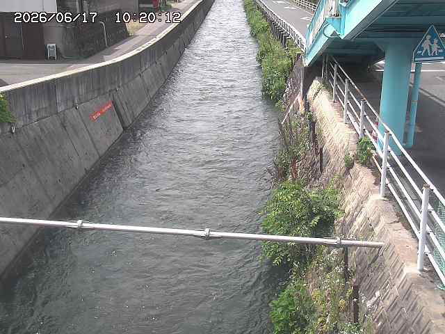 大井手川１2026/06/17 12:00:00