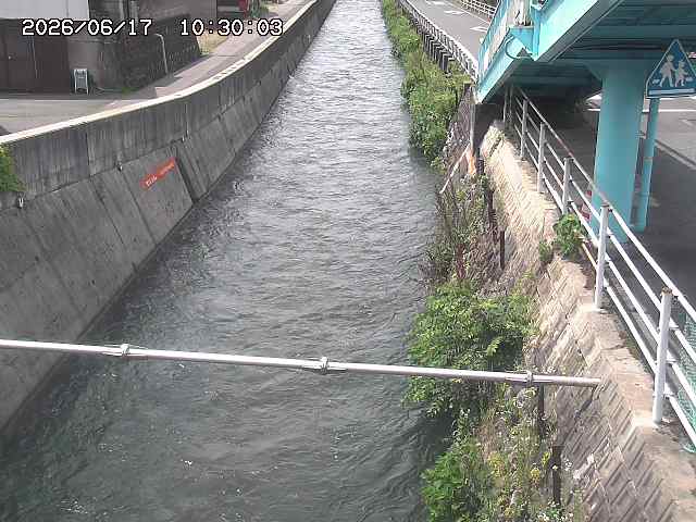 大井手川１2026/06/17 12:00:00