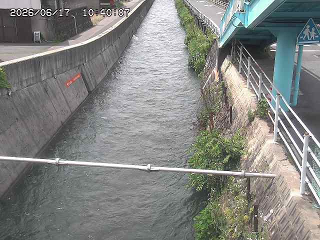 大井手川１2026/06/17 12:00:00