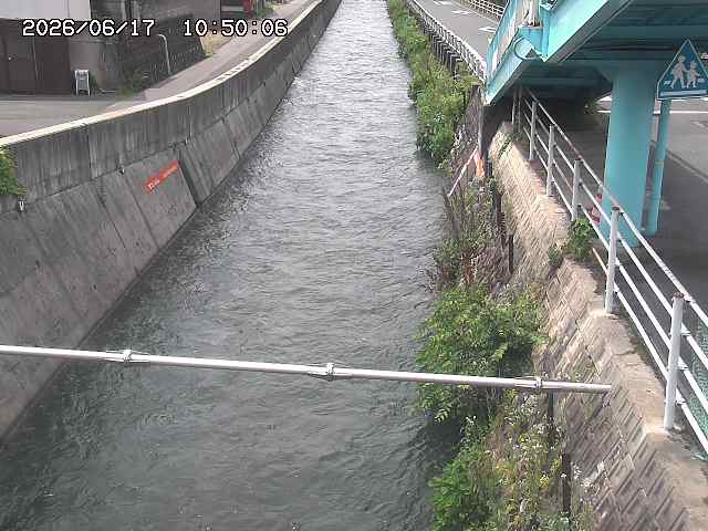 大井手川１2026/06/17 12:00:00