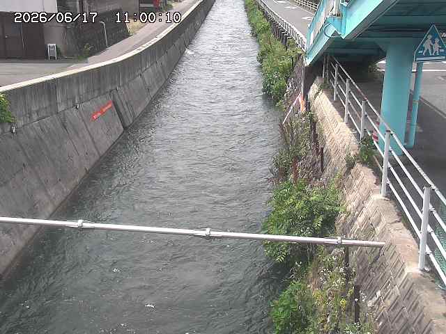 大井手川１2026/06/17 12:00:00