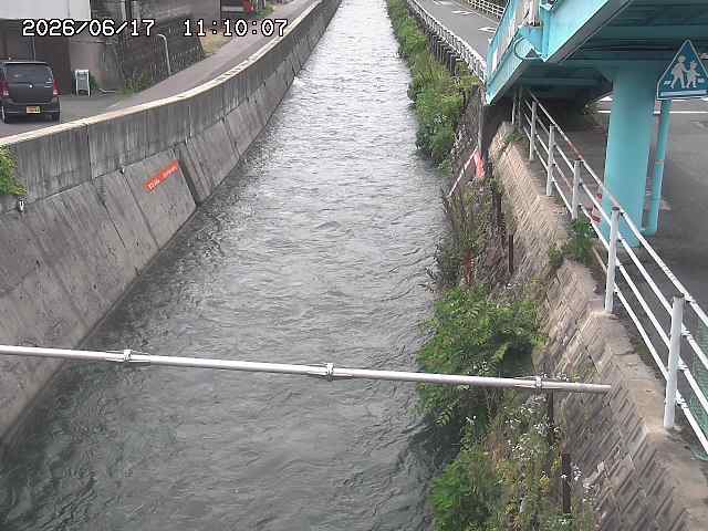 大井手川１2026/06/17 12:00:00