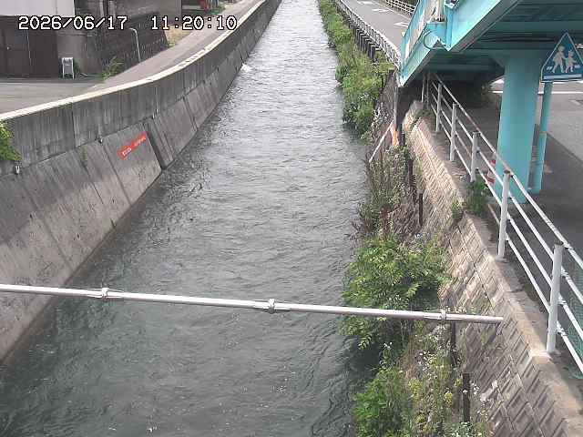大井手川１2026/06/17 12:00:00