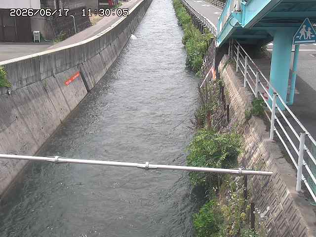 大井手川１2026/06/17 12:00:00