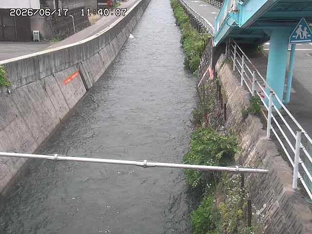 大井手川１2026/06/17 12:00:00