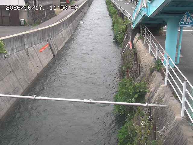 大井手川１2026/06/17 12:00:00