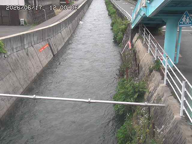 大井手川１2026/06/17 12:00:00