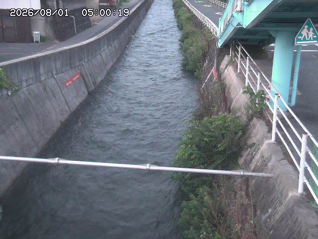 大井手川１2026/08/01 20:50:00