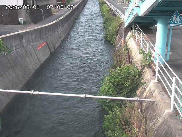 大井手川１2026/08/01 20:50:00