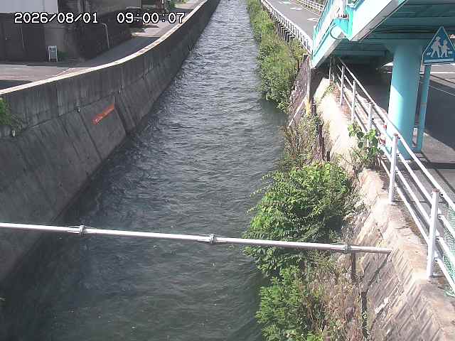 大井手川１2026/08/01 20:50:00
