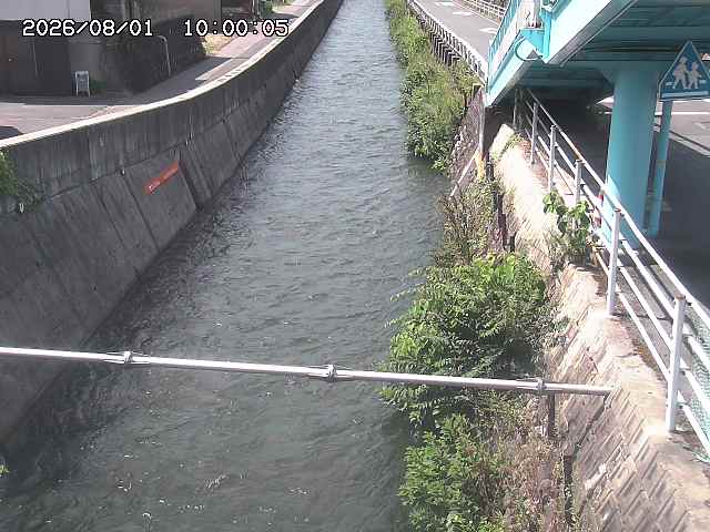 大井手川１2026/08/01 20:50:00