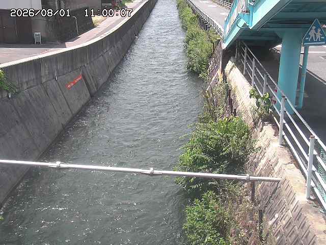 大井手川１2026/08/01 20:50:00