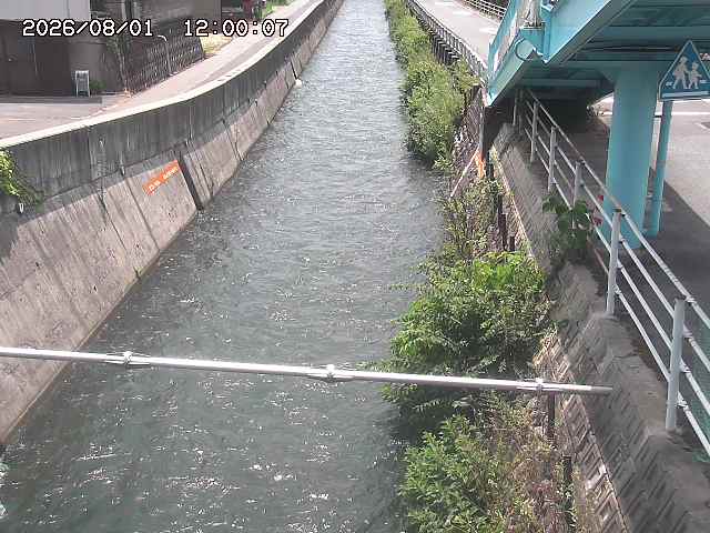 大井手川１2026/08/01 20:50:00